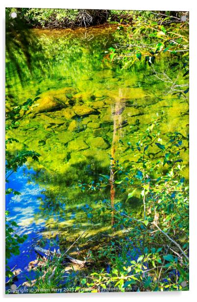 Summer Colors Green Blue Reflection Wenatchee River Valley Washi Acrylic by William Perry