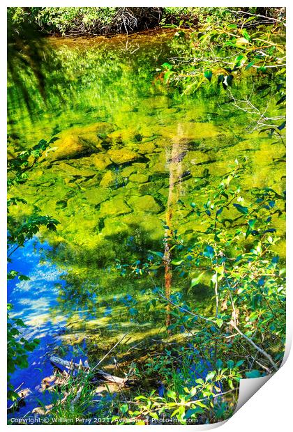 Summer Colors Green Blue Reflection Wenatchee River Valley Washi Print by William Perry