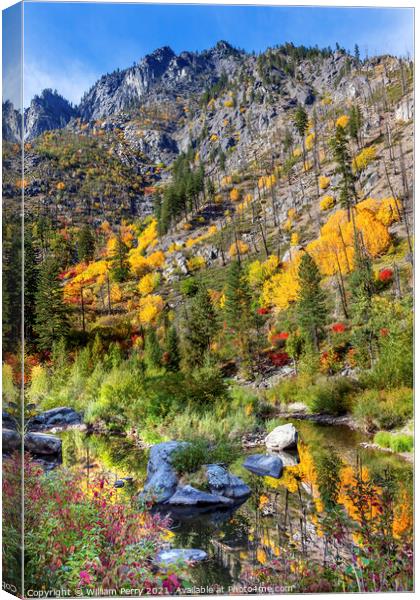 Fall Yellow Red Green Colors Reflection Wenatchee River Valley W Canvas Print by William Perry