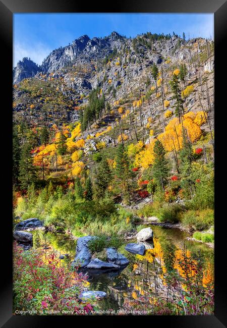 Fall Yellow Red Green Colors Reflection Wenatchee River Valley W Framed Print by William Perry