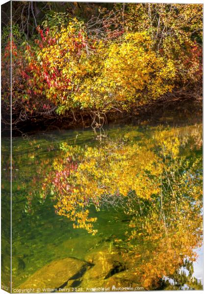 Fall Colors Green Water Reflection Abstract Wenatchee River Wash Canvas Print by William Perry