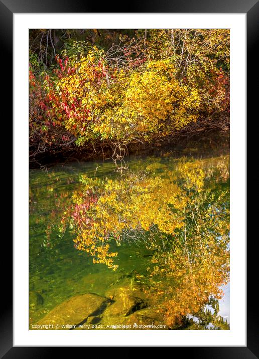 Fall Colors Green Water Reflection Abstract Wenatchee River Wash Framed Mounted Print by William Perry