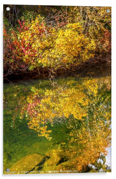Fall Colors Green Water Reflection Abstract Wenatchee River Wash Acrylic by William Perry