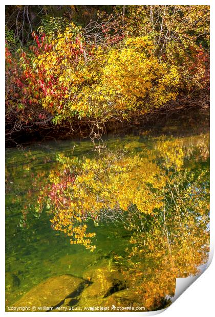 Fall Colors Green Water Reflection Abstract Wenatchee River Wash Print by William Perry