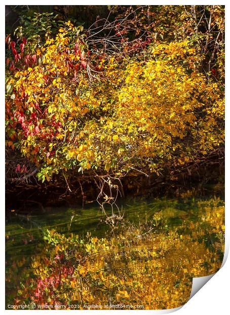 Fall Colors Green Water Reflection Abstract Wenatchee River Wash Print by William Perry