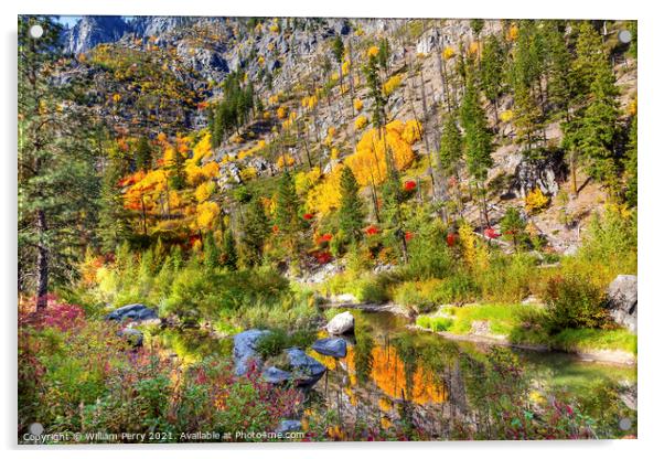 Fall Yellow Blue Green Colors Reflection Wenatchee River Valley  Acrylic by William Perry