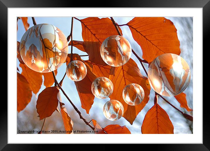 Autumn Bubbles Framed Mounted Print by Iain Mavin