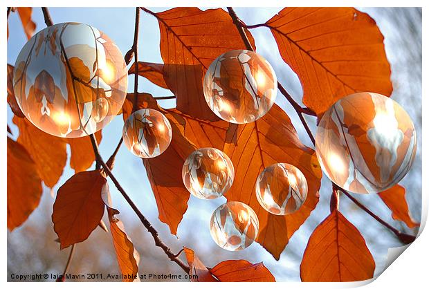 Autumn Bubbles Print by Iain Mavin