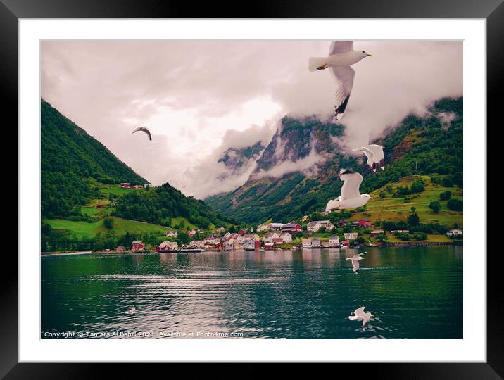 Seagulls Flying over a Norway Fjord Framed Mounted Print by Tamara Al Bahri