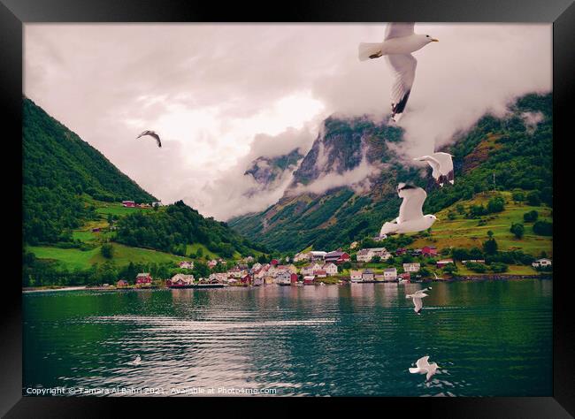 Seagulls Flying over a Norway Fjord Framed Print by Tamara Al Bahri