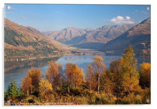 Loch Duich from Mam Ratagan in Autumn  Acrylic by Barbara Jones