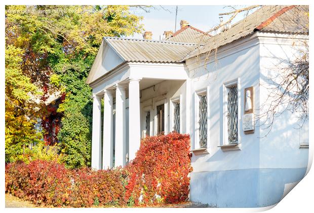 Colorful autumn landscape of an old house with white columns and bright red wild grapes on the facade with a sunny day. Print by Sergii Petruk