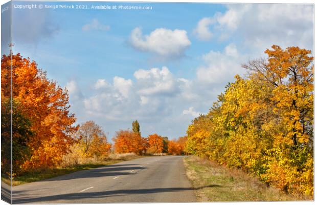 Autumnal orange and yellow foliage of roadside trees flank the old tarmac road. Canvas Print by Sergii Petruk