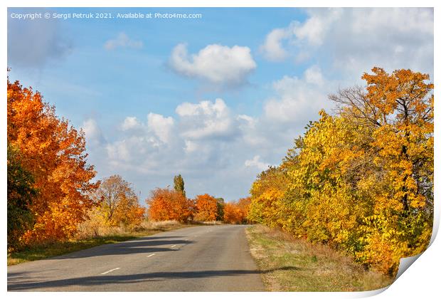 Autumnal orange and yellow foliage of roadside trees flank the old tarmac road. Print by Sergii Petruk