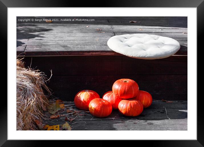 Autumn warm still life with round pumpkins near baskets of chrysanthemums in blur in warm sunlight. Framed Mounted Print by Sergii Petruk