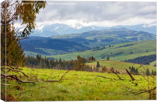 Mountain landscape of spring Carpathians in early spring with low clouds and fresh green grass on the hills. Canvas Print by Sergii Petruk