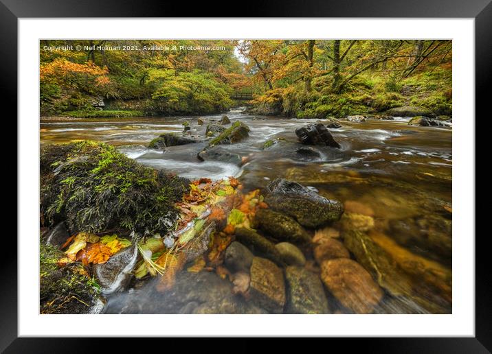 Autumn Colours at Pontneddfechan Framed Mounted Print by Neil Holman