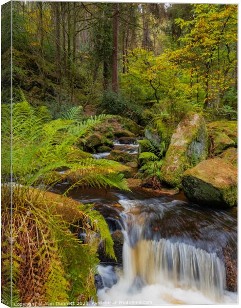Wyming Brook through the trees Canvas Print by Alan Dunnett