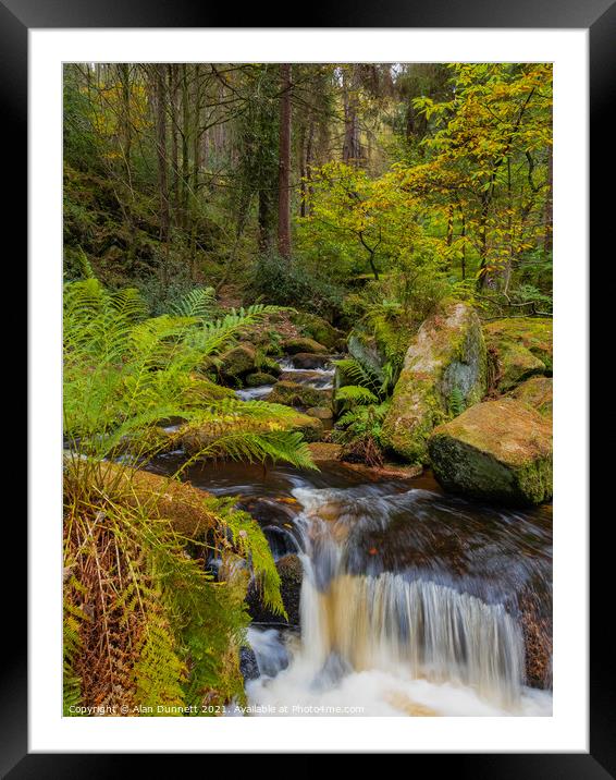 Wyming Brook through the trees Framed Mounted Print by Alan Dunnett