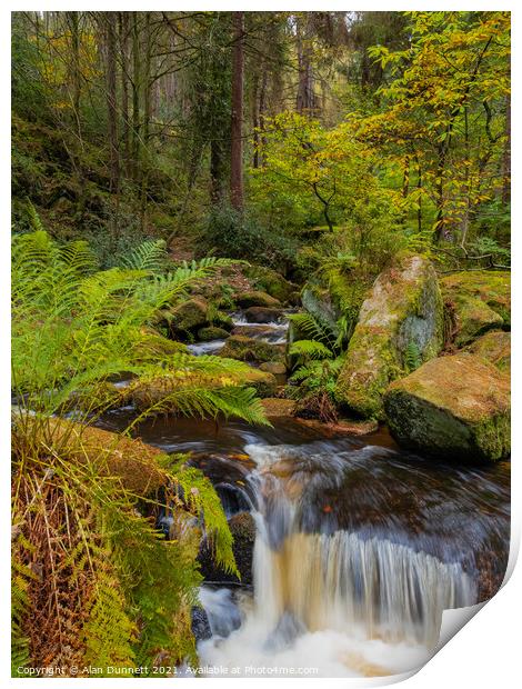 Wyming Brook through the trees Print by Alan Dunnett