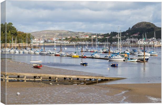 Slipway at Conwy Canvas Print by Jason Wells