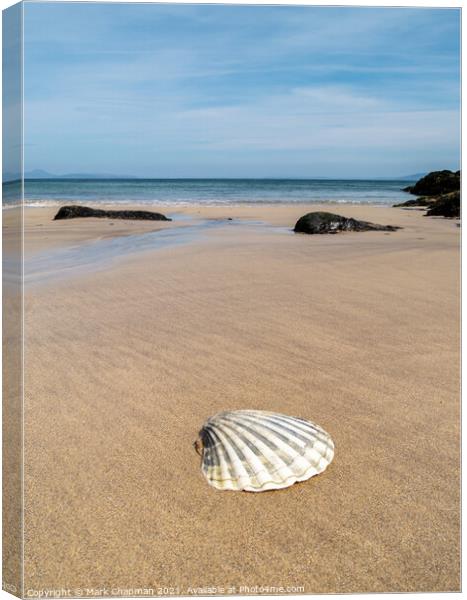 Scallop shell, Balnahard Beach, Colonsay Canvas Print by Photimageon UK
