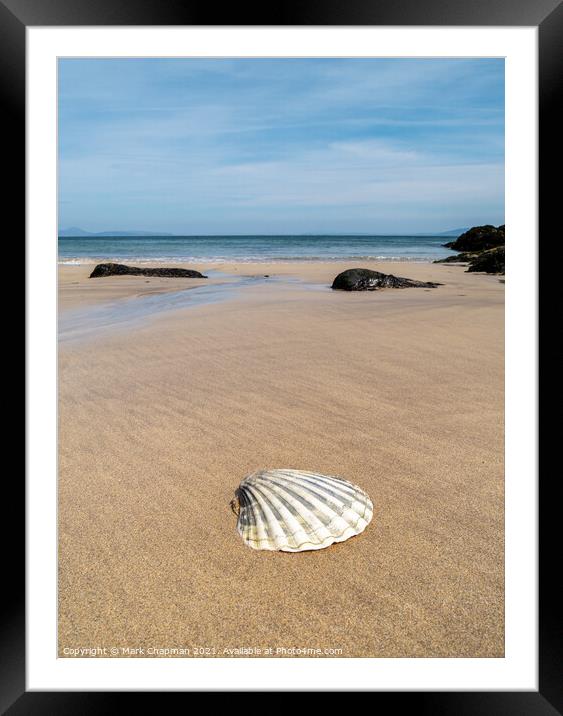 Scallop shell, Balnahard Beach, Colonsay Framed Mounted Print by Photimageon UK