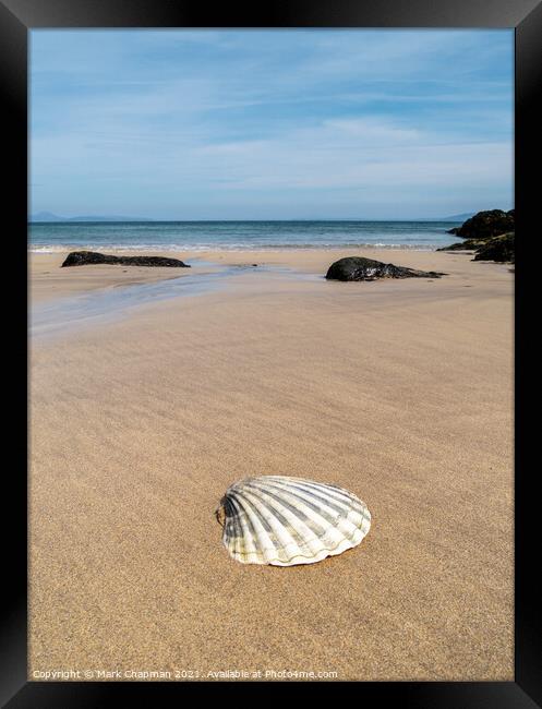 Scallop shell, Balnahard Beach, Colonsay Framed Print by Photimageon UK