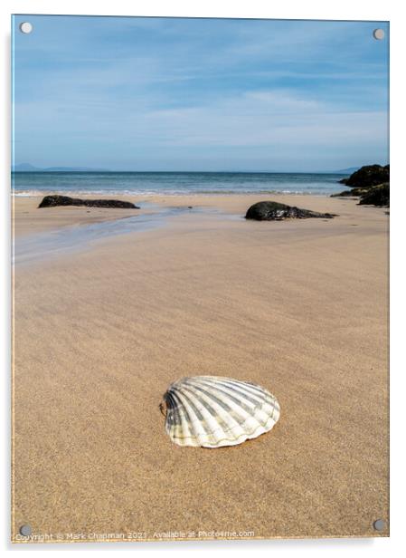 Scallop shell, Balnahard Beach, Colonsay Acrylic by Photimageon UK