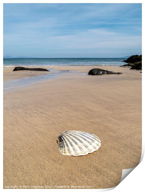 Scallop shell, Balnahard Beach, Colonsay Print by Photimageon UK