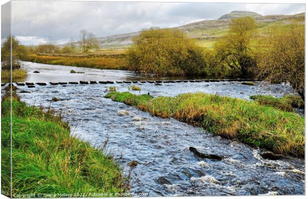 River Doe and Ingleborough  Canvas Print by Diana Mower