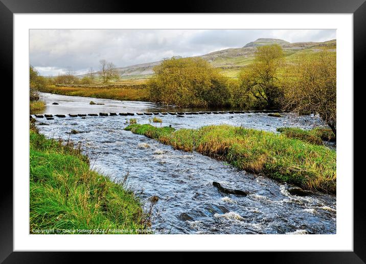 River Doe and Ingleborough  Framed Mounted Print by Diana Mower