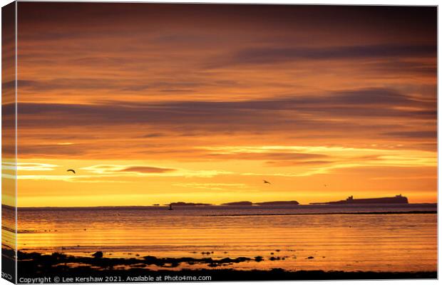 Farne Islands sunrise Canvas Print by Lee Kershaw
