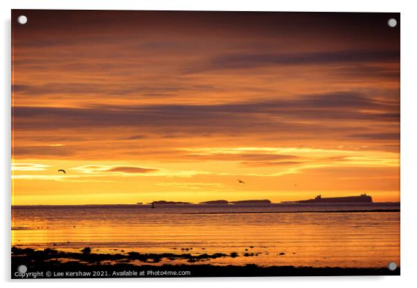 Farne Islands sunrise Acrylic by Lee Kershaw