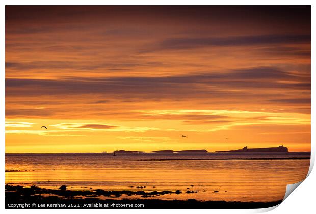 Farne Islands sunrise Print by Lee Kershaw