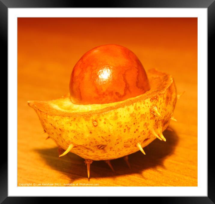 Planet conker Framed Mounted Print by Lee Kershaw