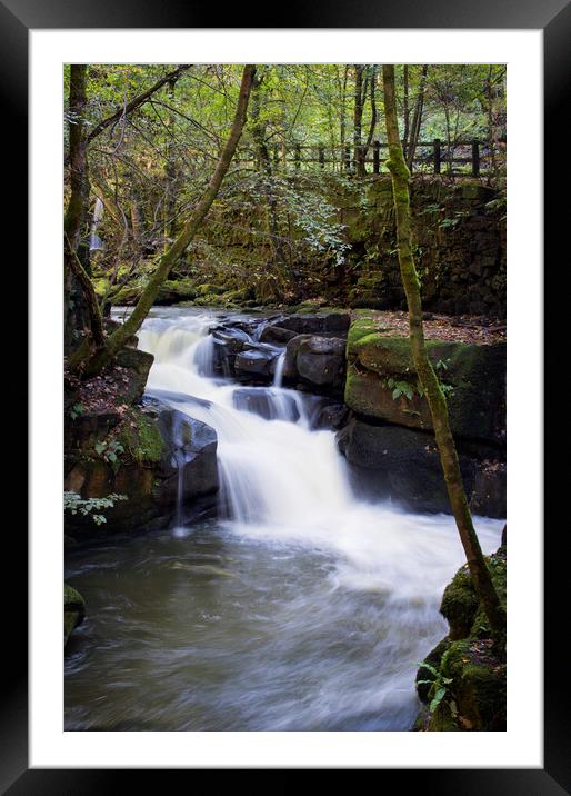 Healey Dell Framed Mounted Print by David McCulloch
