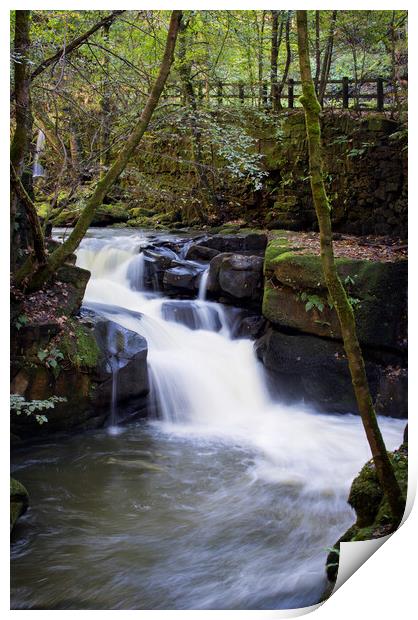 Healey Dell Print by David McCulloch