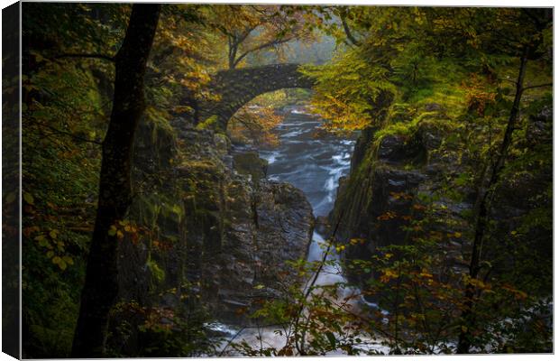 The bridge at the Hermitage, Perthshire Canvas Print by Clive Ashton