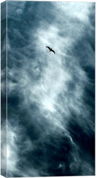 over the sea and under the clouds Canvas Print by Heather Newton