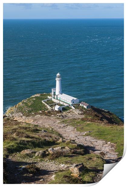 Rocky pathway down to South Stack Lighthouse Print by Jason Wells