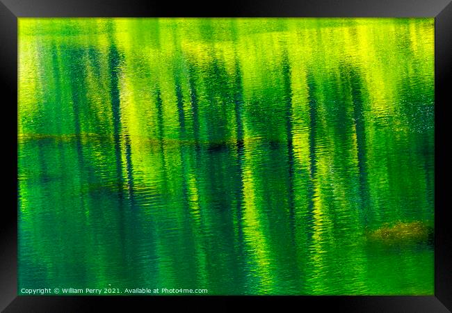 Green Yellow Summer Water Reflection Abstract Wenatchee River Va Framed Print by William Perry
