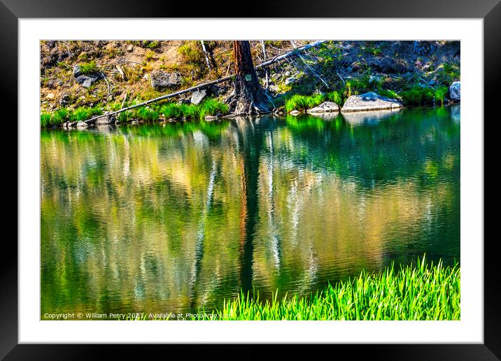 Green Tree Summer Water Reflection Abstract Wenatchee River Vall Framed Mounted Print by William Perry