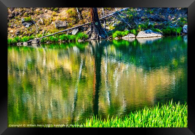 Green Tree Summer Water Reflection Abstract Wenatchee River Vall Framed Print by William Perry