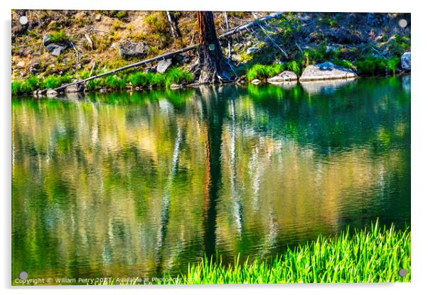 Green Tree Summer Water Reflection Abstract Wenatchee River Vall Acrylic by William Perry