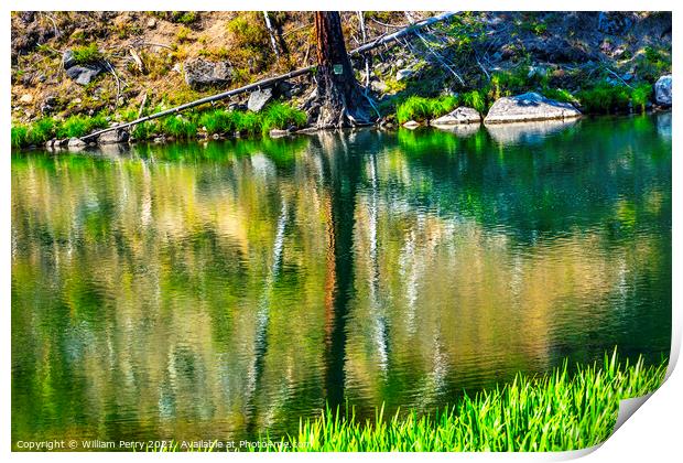 Green Tree Summer Water Reflection Abstract Wenatchee River Vall Print by William Perry
