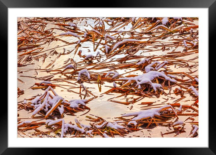 Winter Leaves Snow Ice  Abstract Wenatchee River Valley Near Ste Framed Mounted Print by William Perry