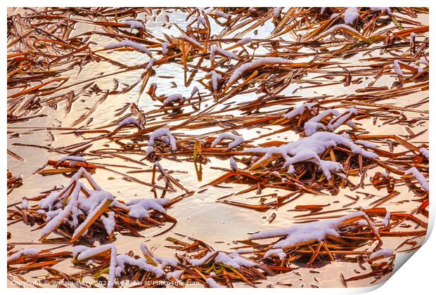 Winter Leaves Snow Ice  Abstract Wenatchee River Valley Near Ste Print by William Perry