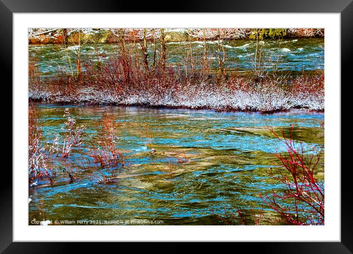 Red Plants Winter Leaves Snow Ice Wenatchee River Valley Near St Framed Mounted Print by William Perry