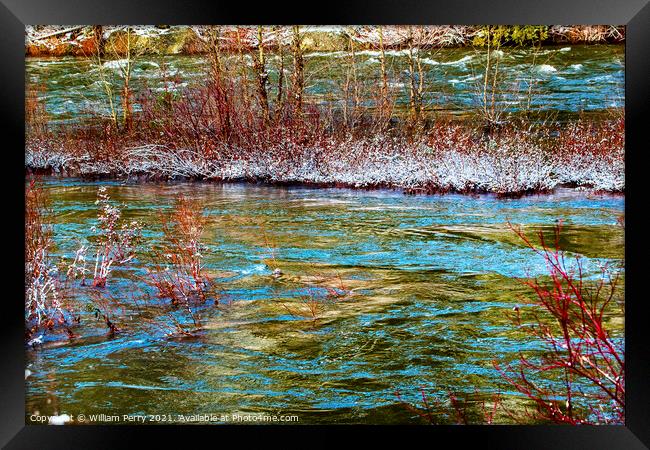 Red Plants Winter Leaves Snow Ice Wenatchee River Valley Near St Framed Print by William Perry